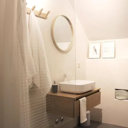 Apartment Alteri Domi