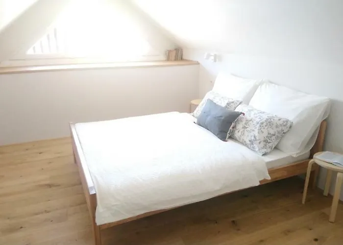 Apartment Alteri Domi