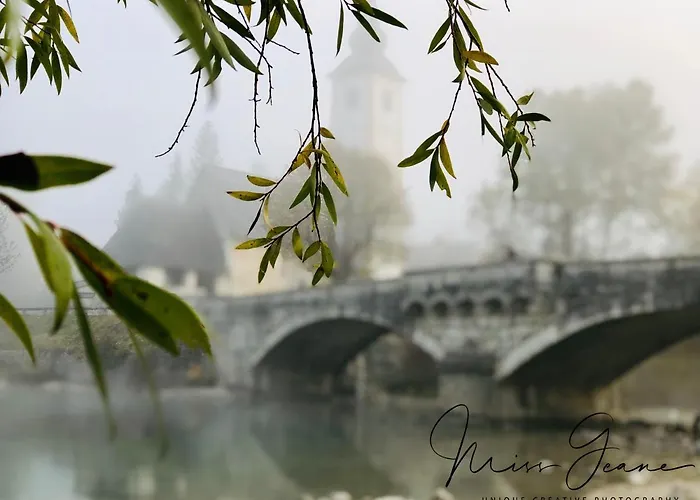 Apartment Alteri Domi