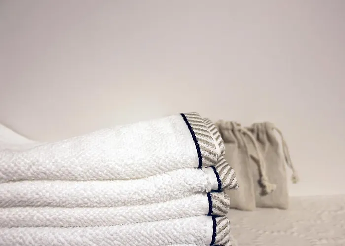 Apartment Alteri Domi